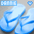 Dannie icons bilder