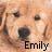 Emily icons bilder