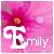 Emily icons bilder