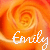 Emily icons bilder