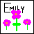 Emily icons bilder