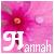 Hannah icons bilder