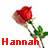 Hannah icons bilder