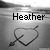 Heather icons bilder