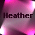 Heather icons bilder