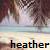 Heather icons bilder