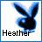 Heather icons bilder