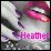 Heather icons bilder