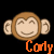 Affen icons bilder