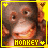 Affen icons bilder