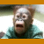 Affen icons bilder