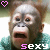 Affen icons bilder