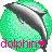 Delfin icons bilder