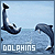 Delfin icons bilder