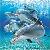 Delfin icons bilder