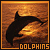 Delfin icons bilder