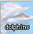 Delfin icons bilder