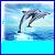 Delfin icons bilder