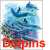 Delfin icons bilder