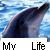 Delfin icons bilder