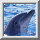 Delfin icons bilder