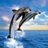 Delfin icons bilder