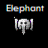 Elefant