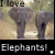 Elefant icons bilder