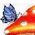 Schmetterlinge icons bilder