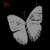 Schmetterlinge icons bilder