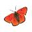 Schmetterlinge icons bilder