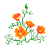 Blumen mini bilder