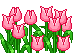 Blumen mini bilder