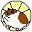 Hamster mini bilder