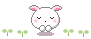 Kaos mini bilder