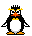 Pinguin mini bilder