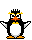 Pinguin mini bilder
