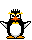 Pinguin mini bilder