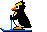 Pinguin mini bilder