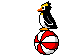 Pinguin mini bilder