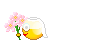 Smileys mini bilder