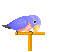 Vogel mini bilder
