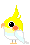 Vogel mini bilder