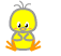 Vogel mini bilder