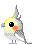 Vogel mini bilder
