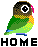 Vogel mini bilder