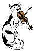 Tiere musik musik bilder