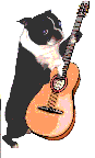 Tiere musik