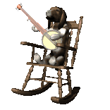 Tiere musik musik bilder