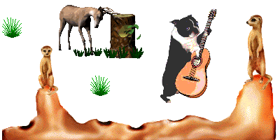 Tiere musik musik bilder